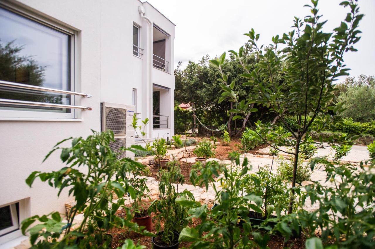 Apartments Jedro Petrčane Dış mekan fotoğraf